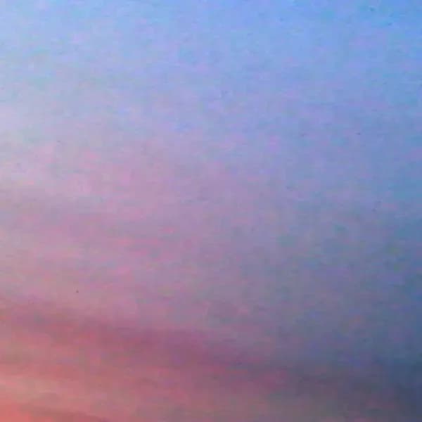 Photographie 7
