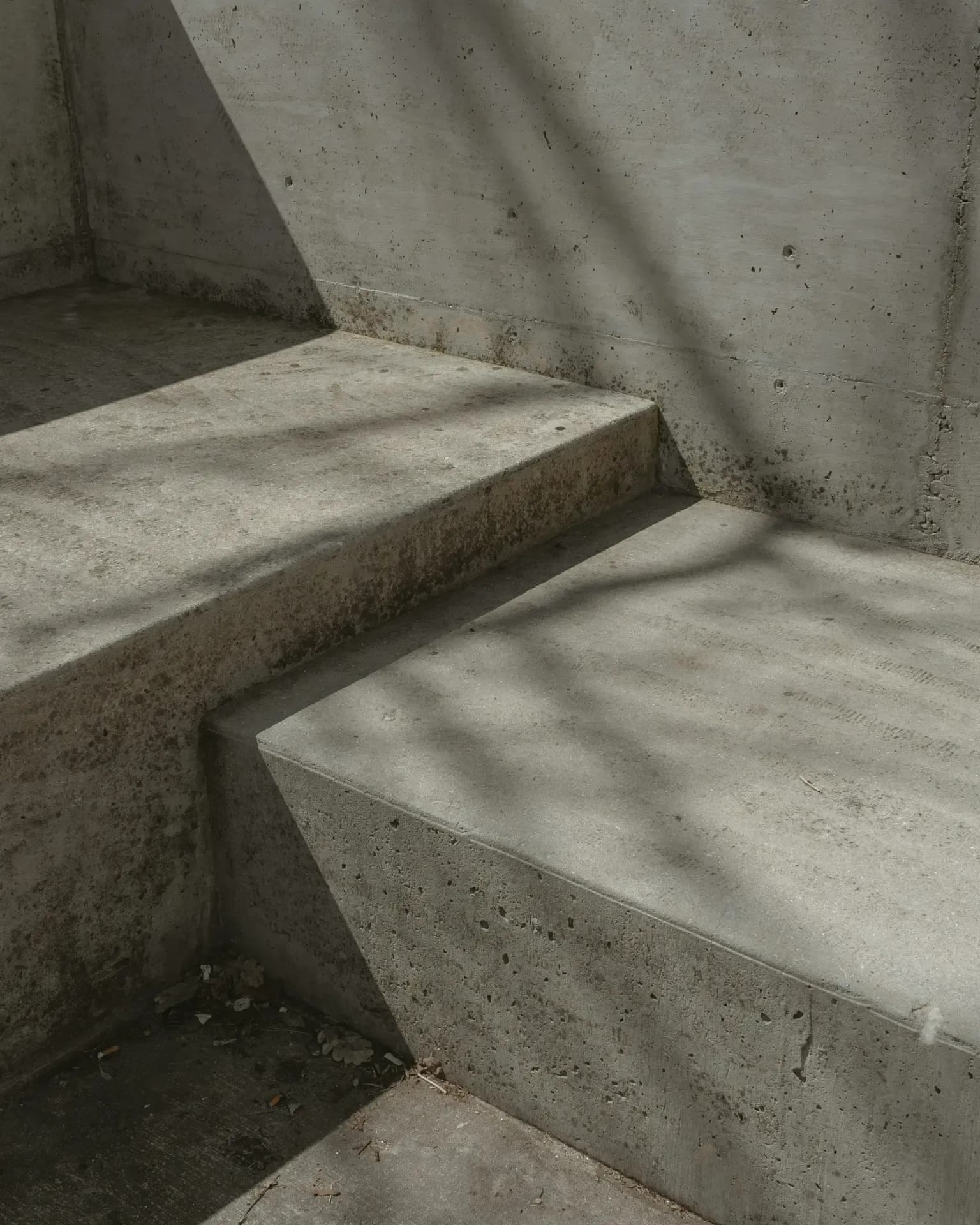 Photographie 5